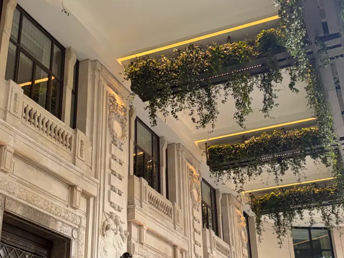The planted atrium at Six Senses London that members arrive through